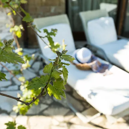 Serenity Villas, Nilie Hospitality Mgmt Appartamento *